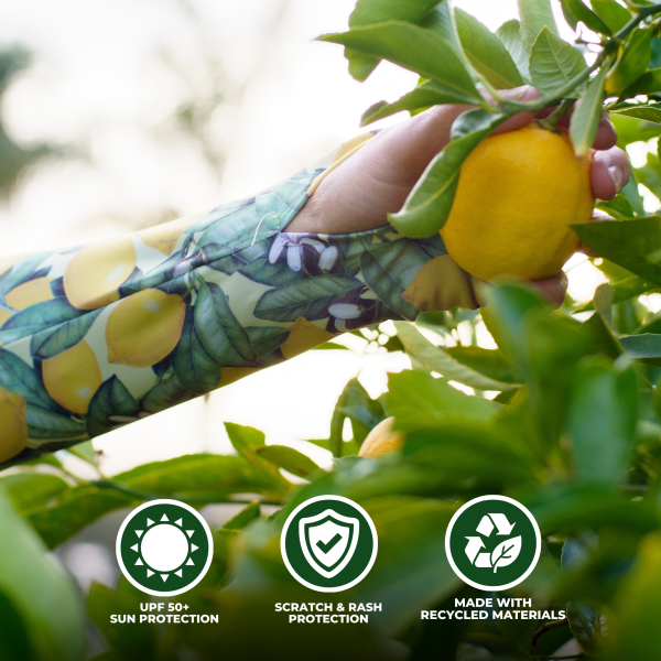 Protection Sleeves - The Lemons - Image 2