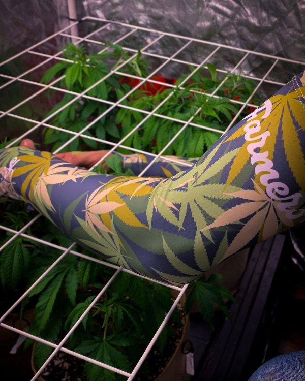 Protection Sleeves - Leaf Camo - Image 3