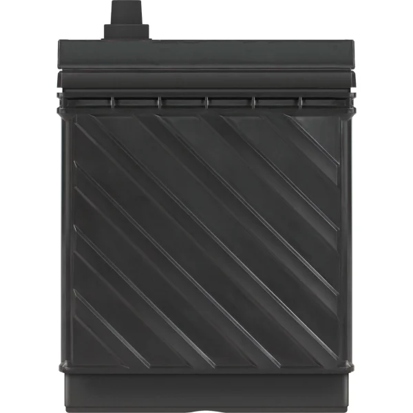 EverStart Maxx Marine Battery, Group Size 29DC 12 Volt, 845 CCA - Image 4