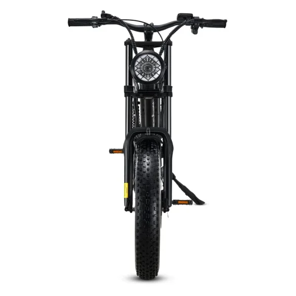 Riding'times 1500W Winter Moped Style Ebike, 20 Inch Fat Tire Electric Bike, Up to 28MPH & 75 Miles, 6-Layer Full Suspension, 15.6AH Removable Battery, Mountain Snow E Bike - Image 2