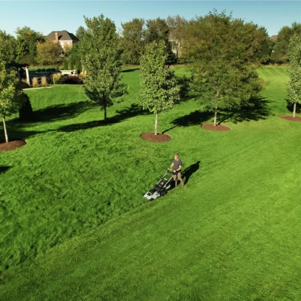 Ego Power+ 21In Select Cut Push Mower Kit With 7.5Ah Battery And Rapid Charger - Image 6