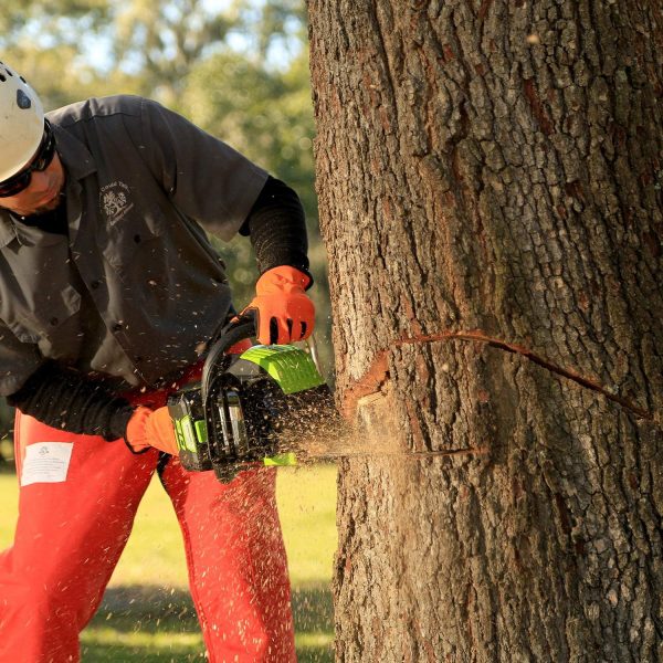 Discontinued - Greenworks Pro 18-Inch 80V Cordless Lithium-Ion Chainsaw, Battery and Charger Included GCS80421 - Image 2