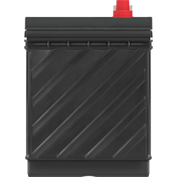 EverStart Maxx Marine Battery, Group Size 29DC 12 Volt, 845 CCA - Image 3